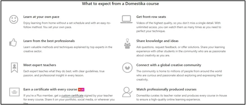 Features of Domestika